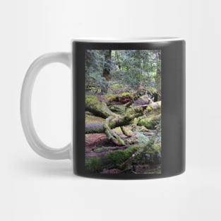 Enchanted Forest, Cradle Mountain, Tasmania, Australia Mug